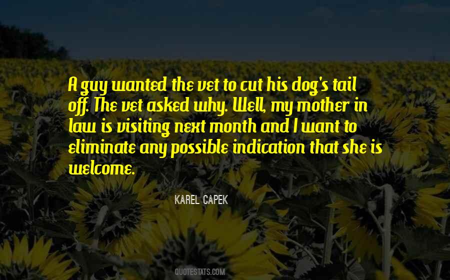 Mother In Quotes #1213378
