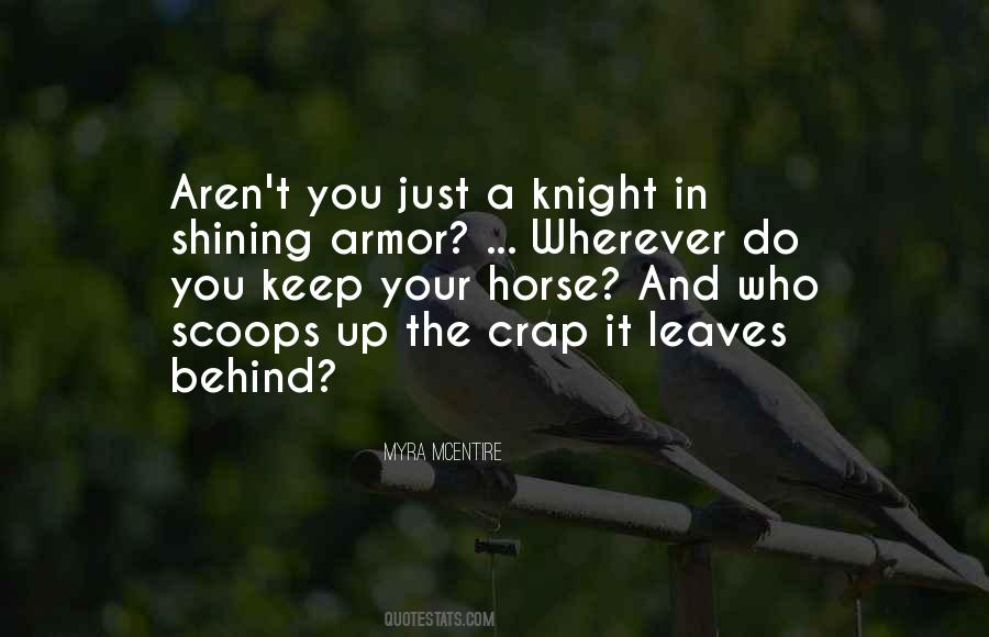 Quotes About Knight In Shining Armor #1112889