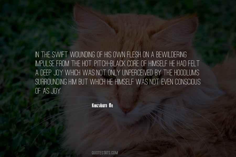 Teint Miracle Quotes #1582059