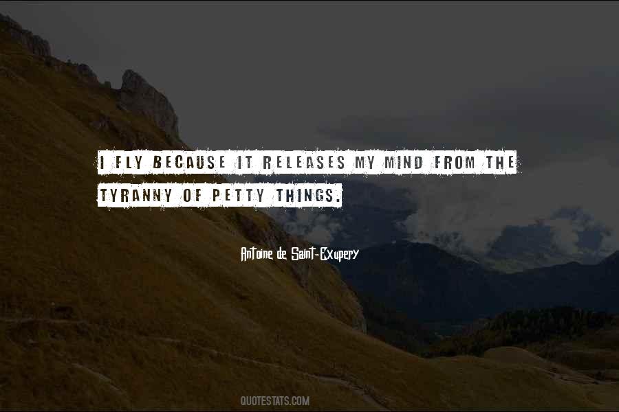 Petty Things Quotes #115609