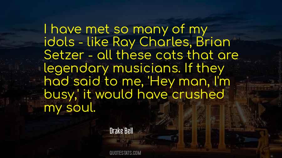 Crushed Soul Quotes #563161