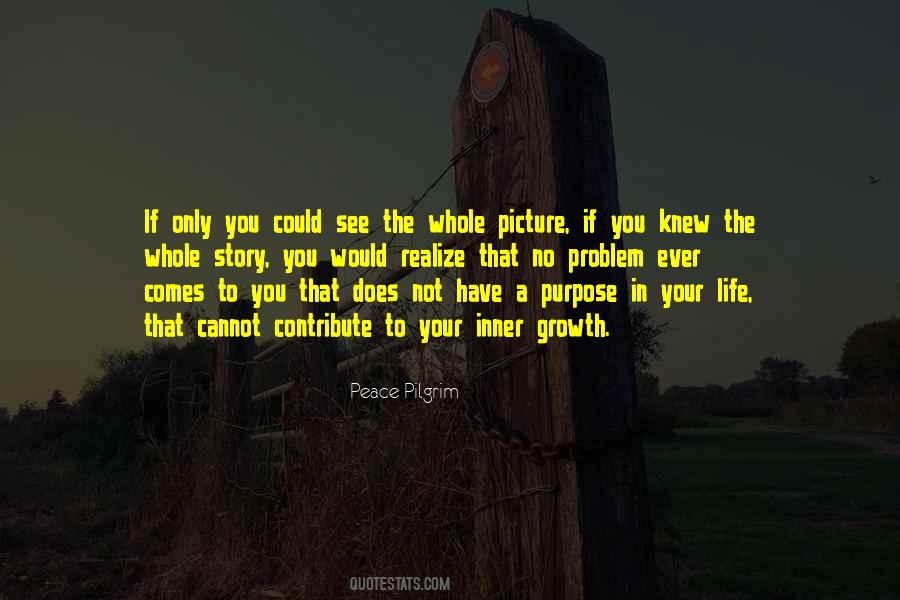 Inner Story Quotes #1627437