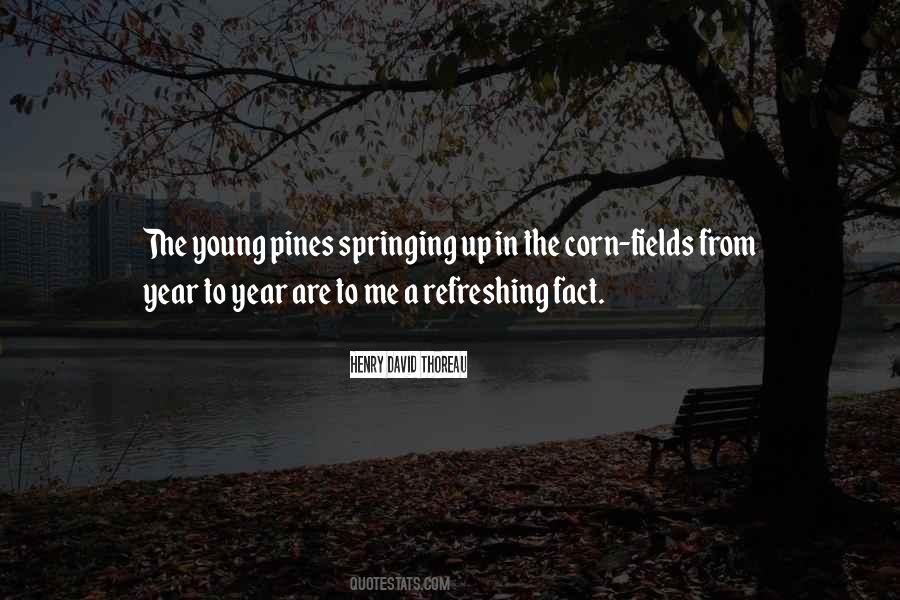 Casamento Blindado Quotes #1457242