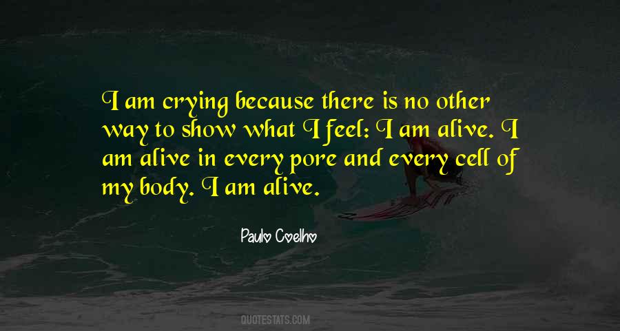 Crying Because Of You Quotes #400040