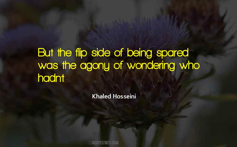 Flip Side Quotes #1116732