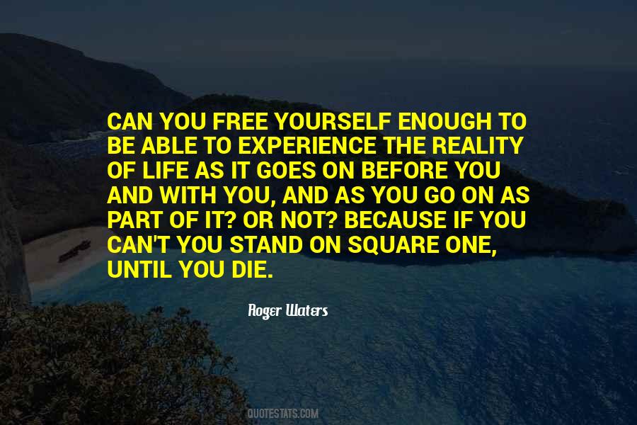 Until You Experience It Quotes #1084282