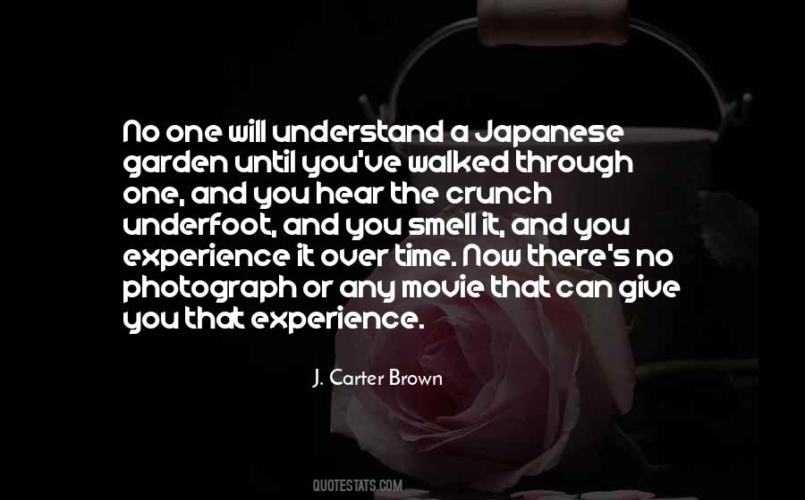 Until You Experience It Quotes #1272177