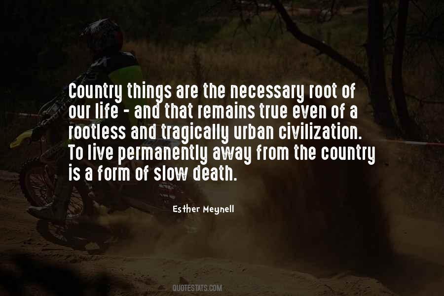 Diagoras Ferry Quotes #956486