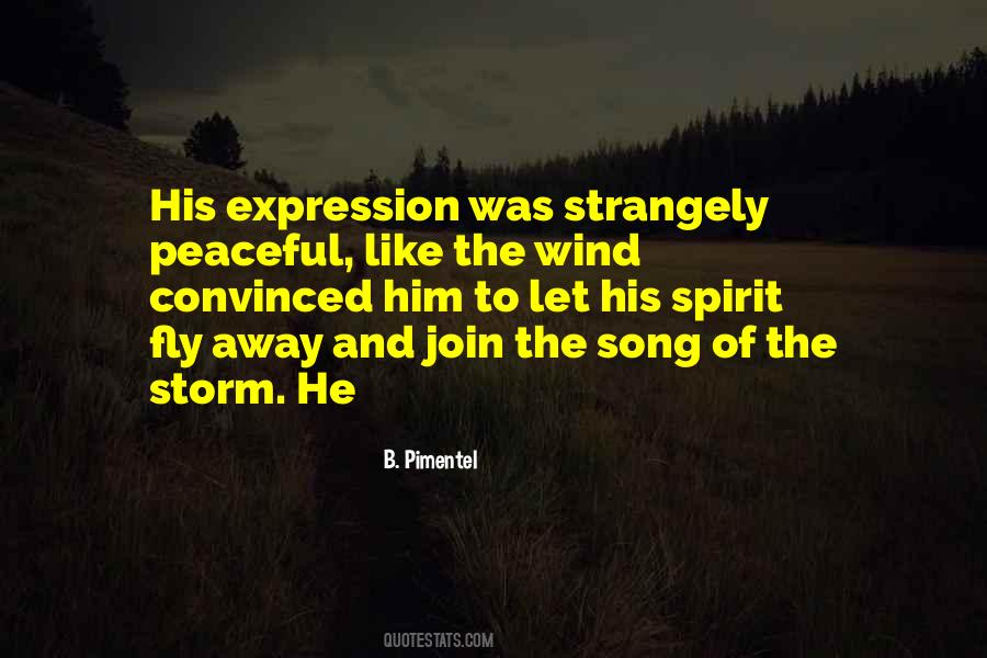 Spirit Storm Quotes #874096