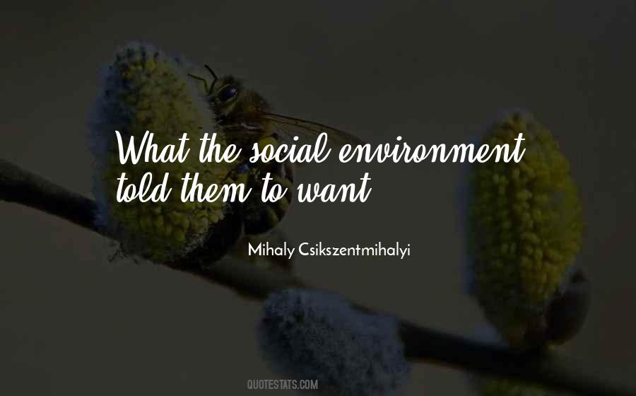 Csikszentmihalyi Quotes #117928