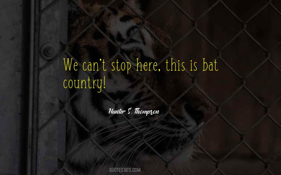 Quotes About Kittens And Love #1678450