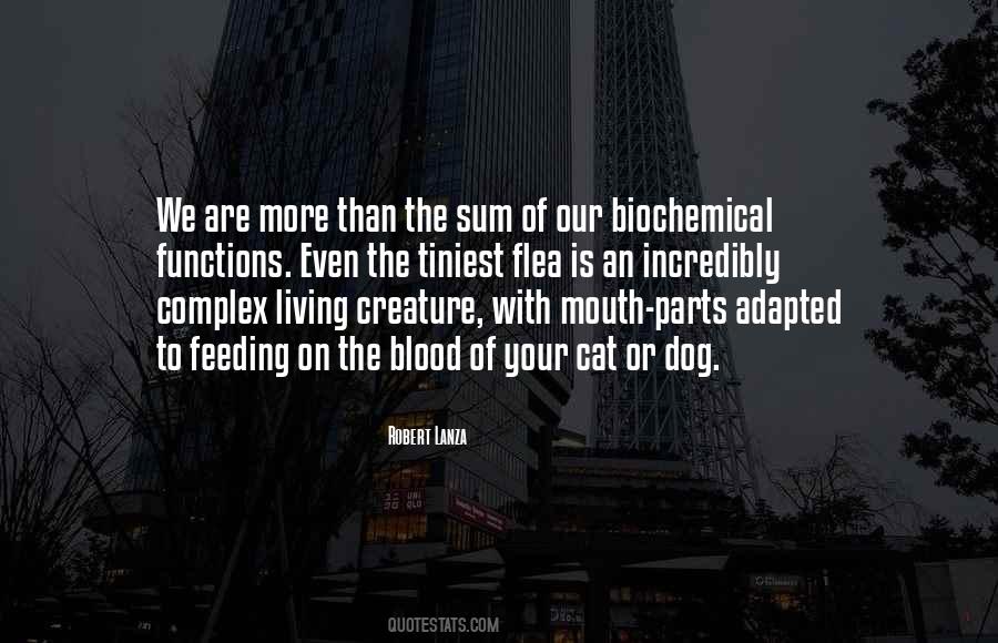 Teody Aves Quotes #353191