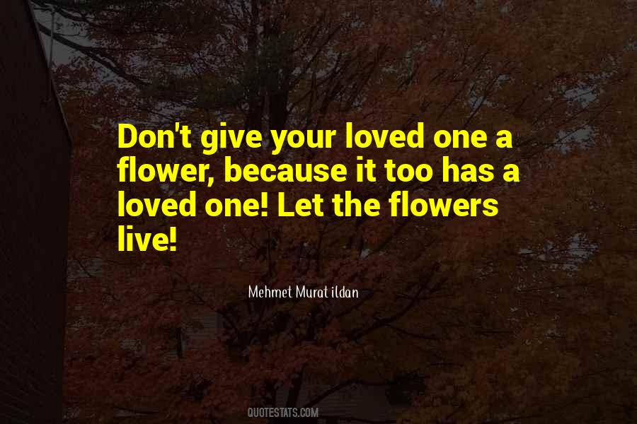 Your Loved Quotes #125606