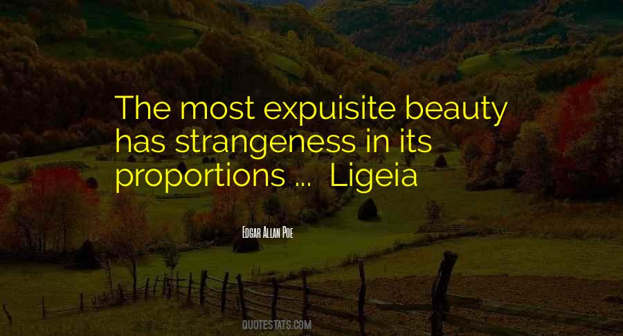 Chess Title Quotes #626536