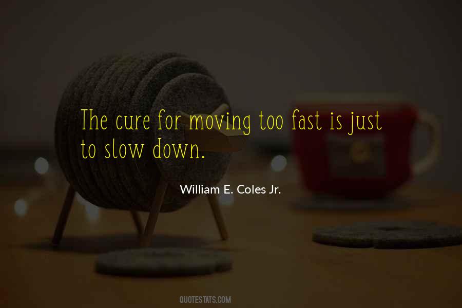 Just Slow Down Quotes #1577984