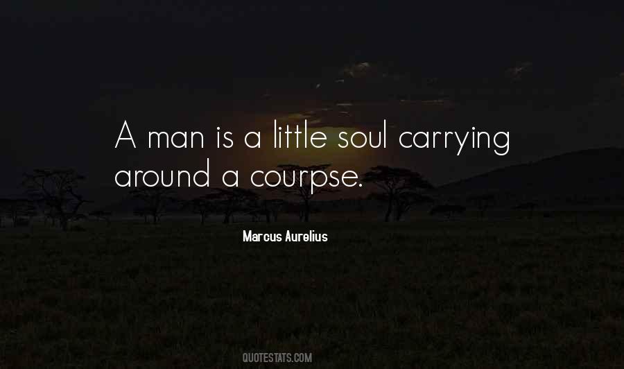 Sansonia Merlot Quotes #1325715