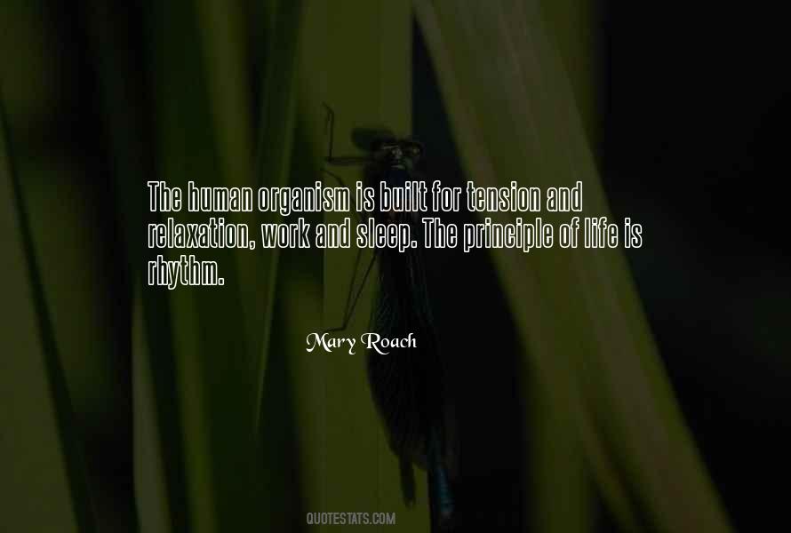 Bejeezus Belt Quotes #780380