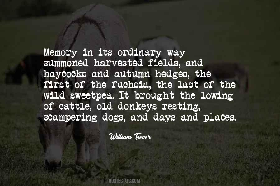 Cultural Mosaic Quotes #564060