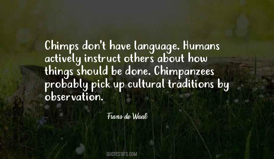 Cultural Traditions Quotes #1463244
