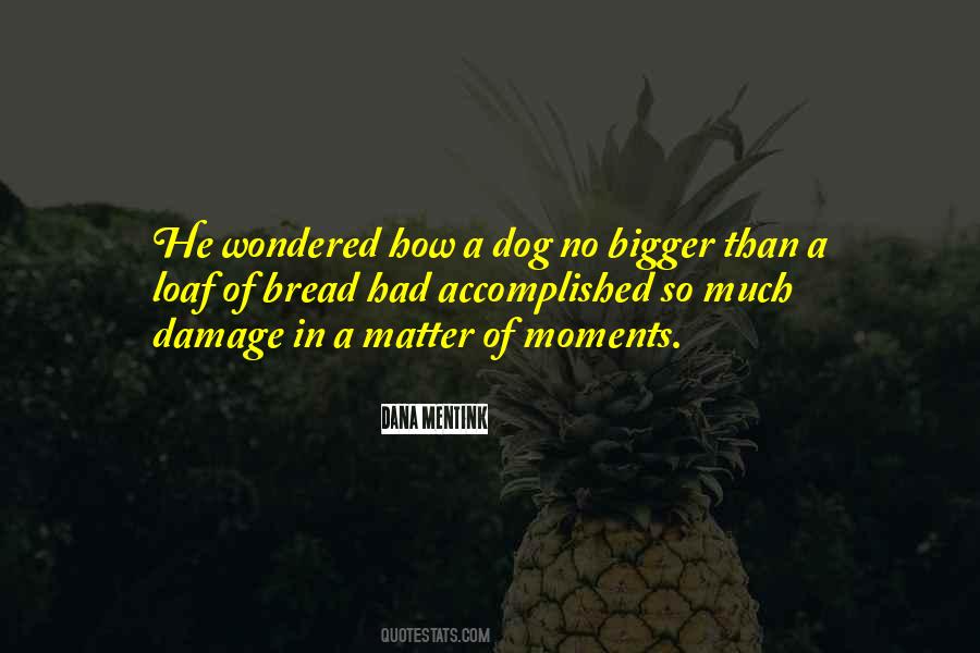 Bloodlines Netflix Quotes #704531