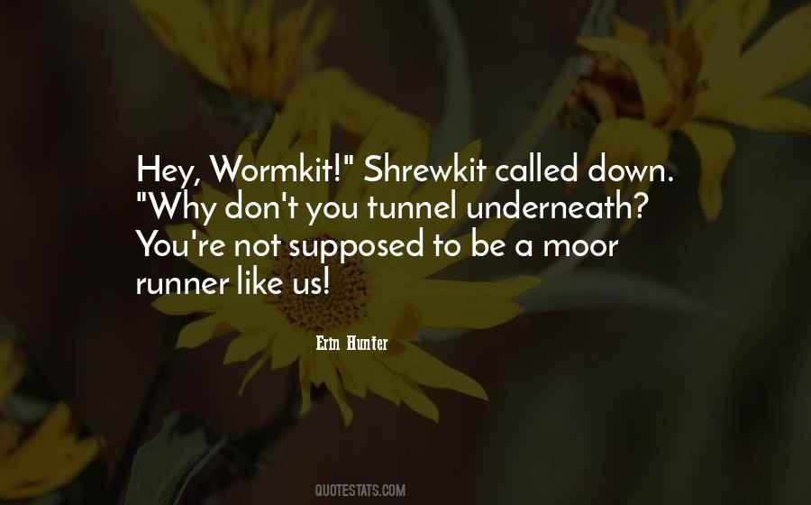 Chubbing Politics Quotes #495644