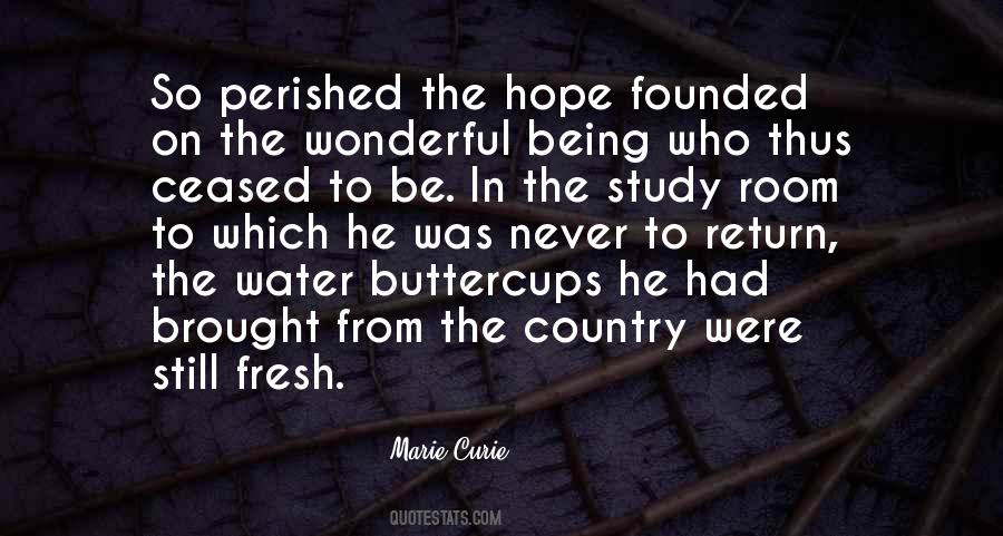 Curie Quotes #832699