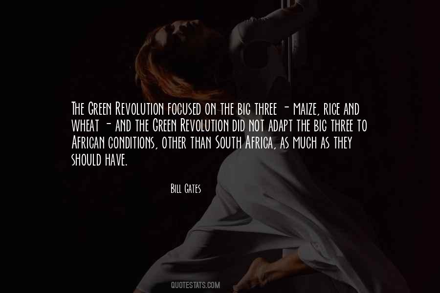 Corzi Chitara Quotes #1173720