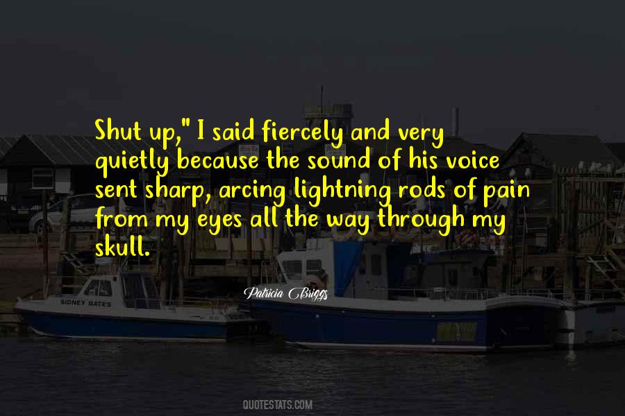 A Court Of Wings And Ruin Quotes #1245144