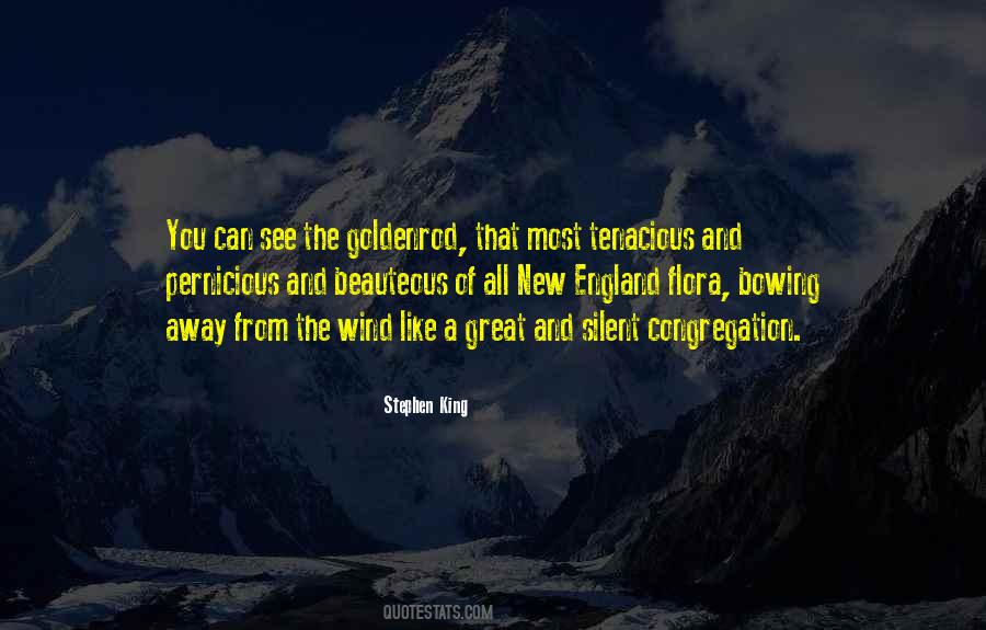 Trovillion Brothers Quotes #882737