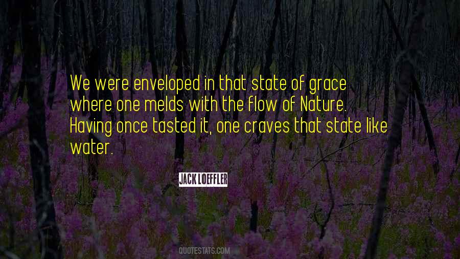 State Of Flow Quotes #1861404