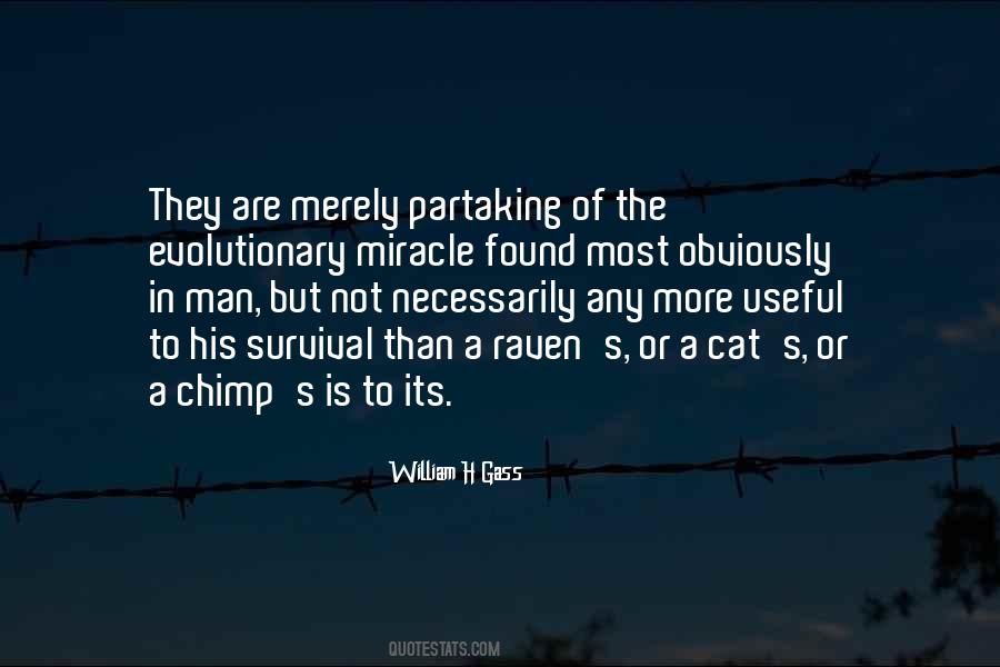 Useful Or Not Quotes #1072559