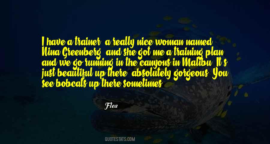Nice And Beautiful Quotes #825100