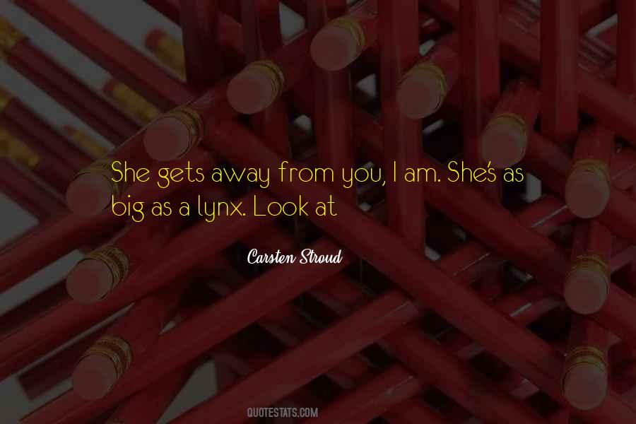 Crosby Stills Nash And Young Quotes #725570