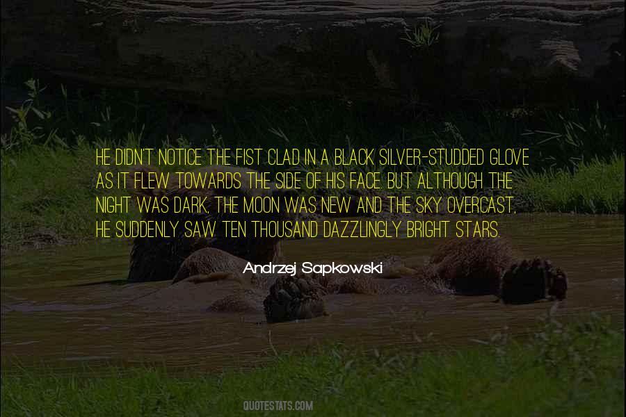 Moon And The Stars Quotes #6092