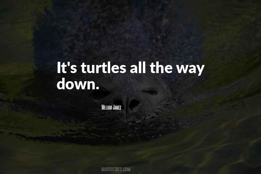 Turtles All The Way Down Quotes #1744086
