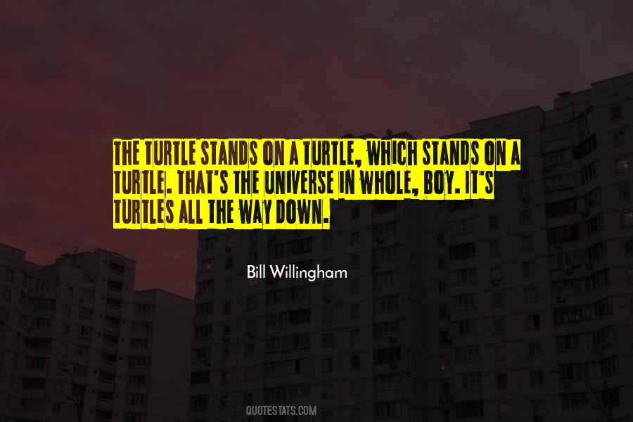 Turtles All The Way Down Quotes #493525