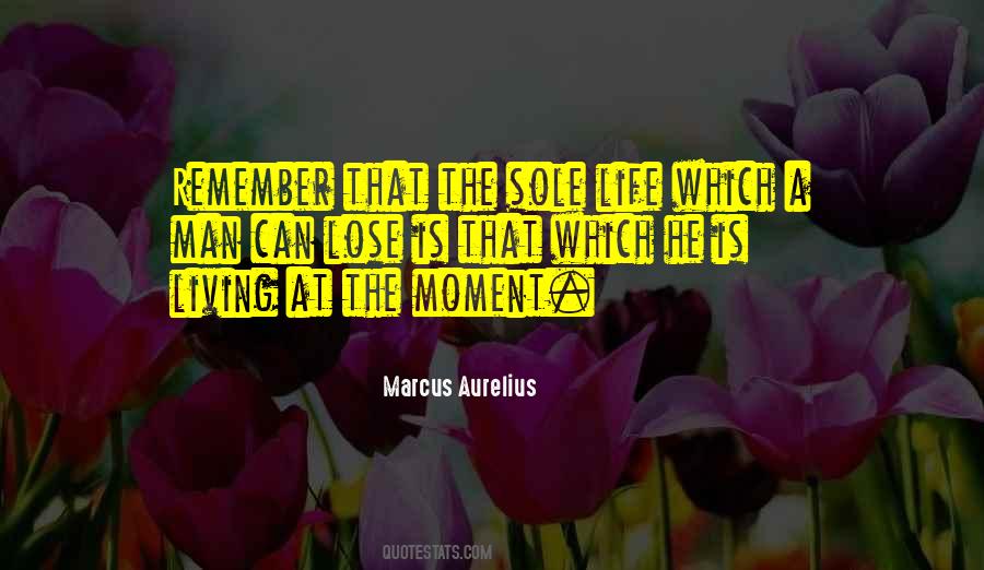 Soucis Plantes Quotes #1701337