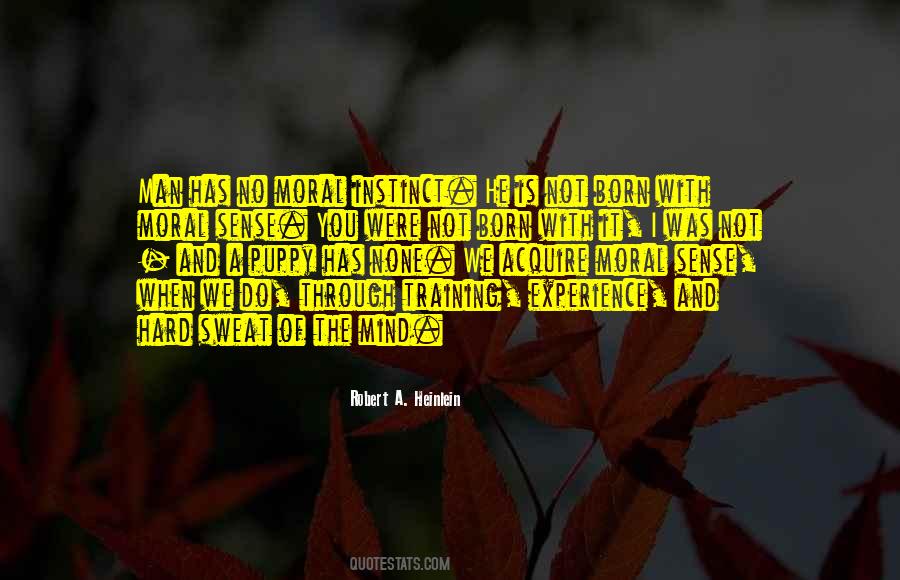 Zintan Quotes #526875