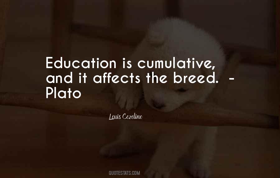 Cozolino Louis Quotes #1679261