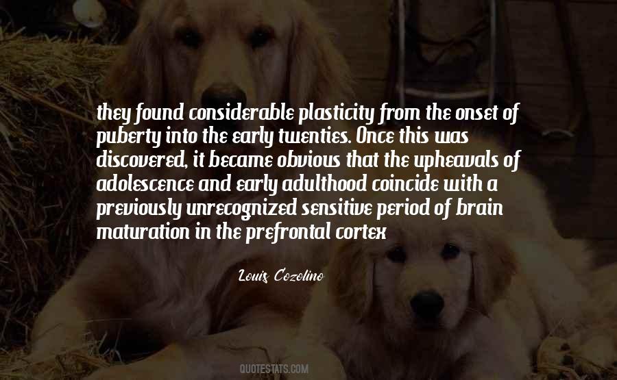 Cozolino Louis Quotes #701523