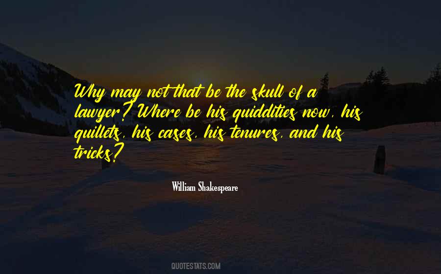 A Lawyer Quotes #1330251