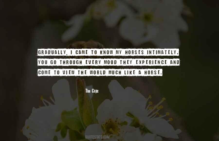 Incongruous Homonymous Hemianopia Quotes #1747323