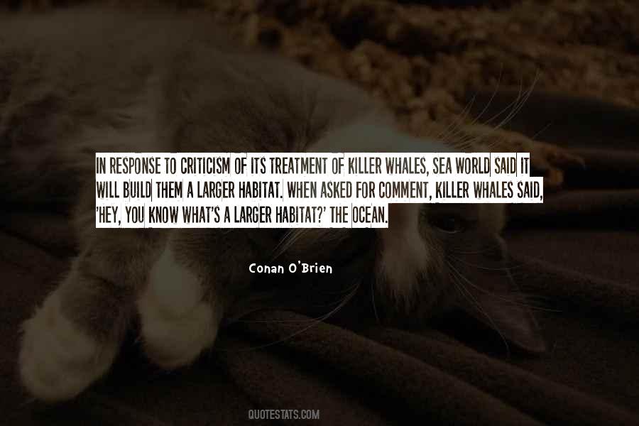 Verschimmeltes Quotes #1376593