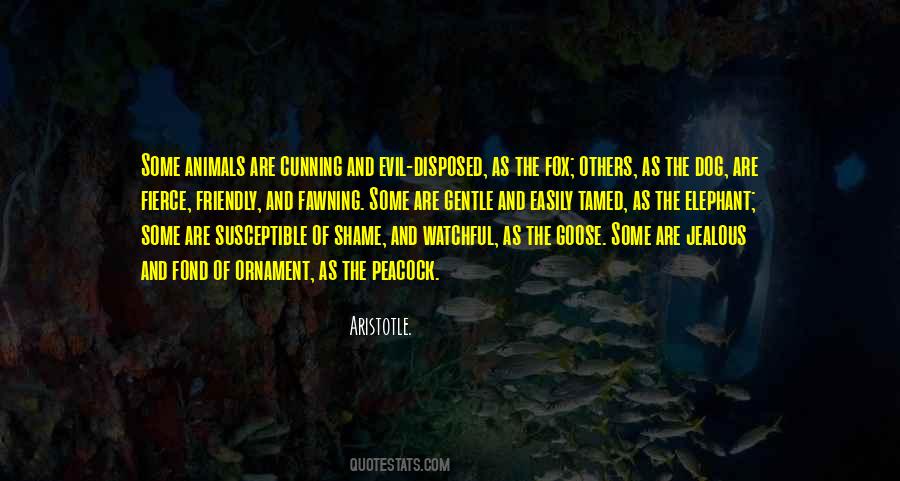 Veckle Quotes #507405