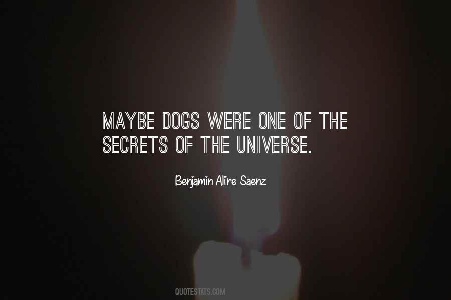 Secrets Of The Universe Quotes #1093199