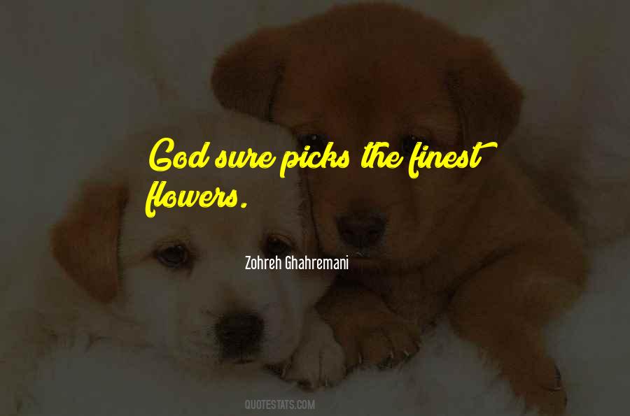 3665 Quotes #1780900