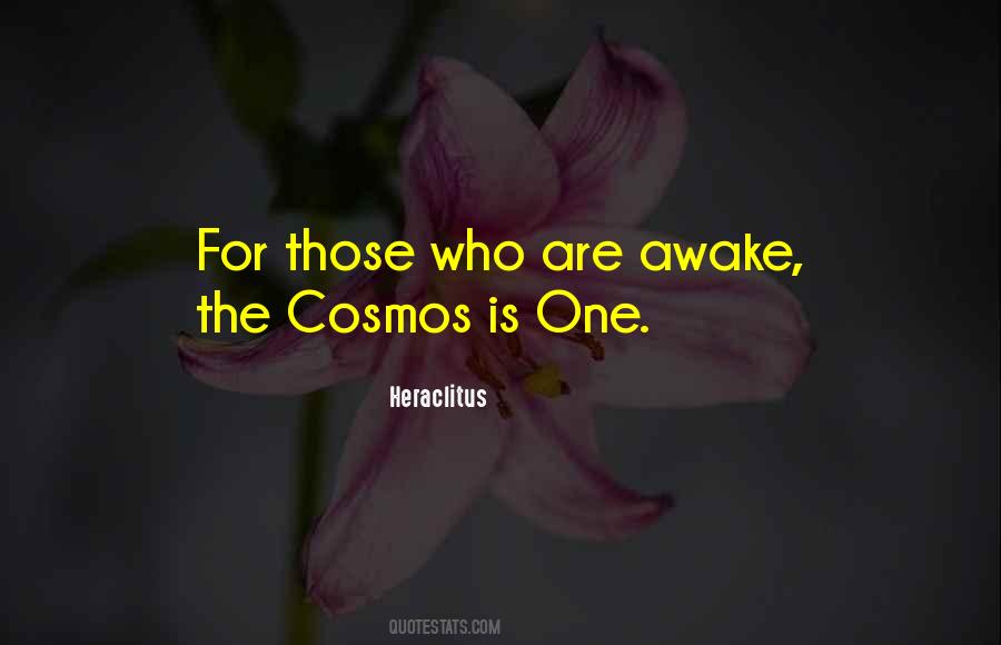 The Cosmos Quotes #1134496