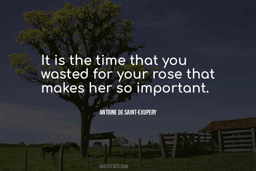 Time Is So Important Quotes #403158