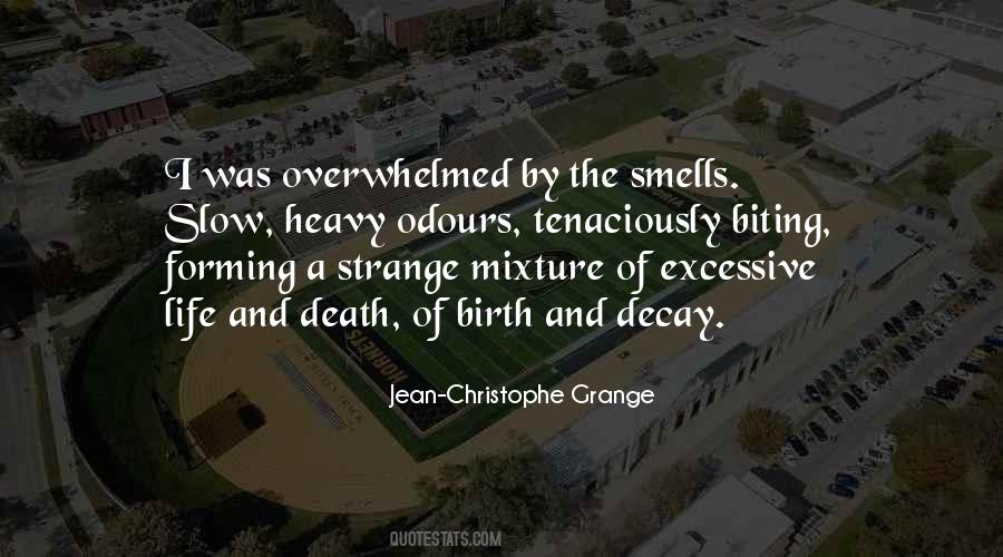Implausible In A Sentence Quotes #503356