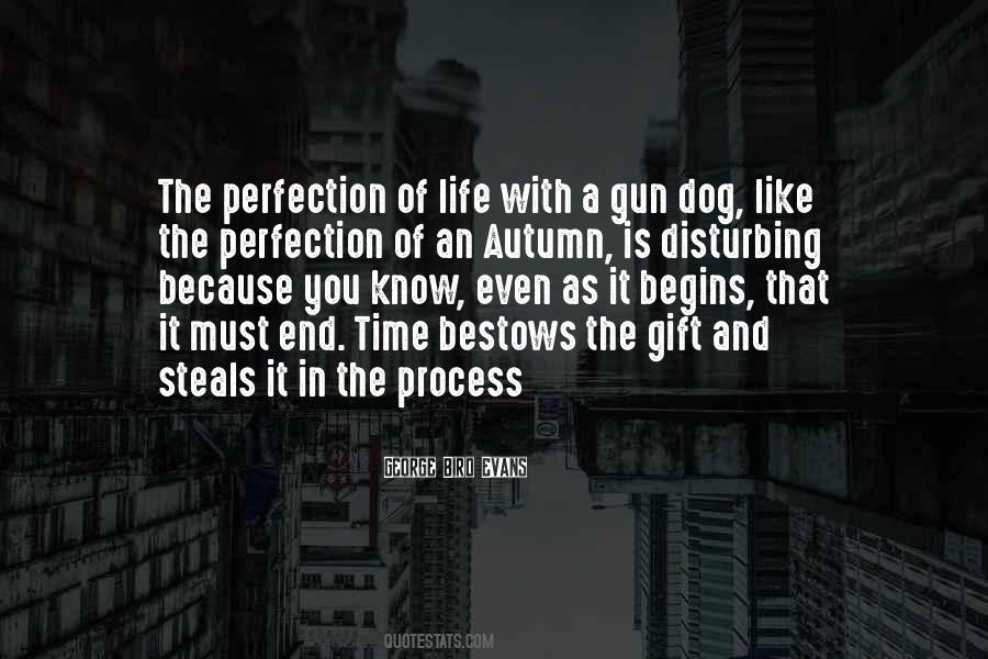 Life As A Gift Quotes #423938